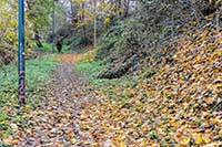 Rue du Bois de la Caille Lyon 4ème (entre le Quai Joseph Gillet et le Cimetière de la Croix-Rousse)