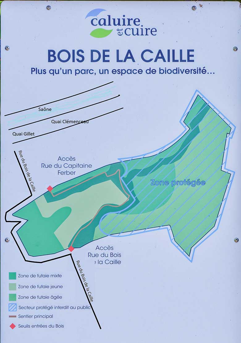 Le Bois de la Caille