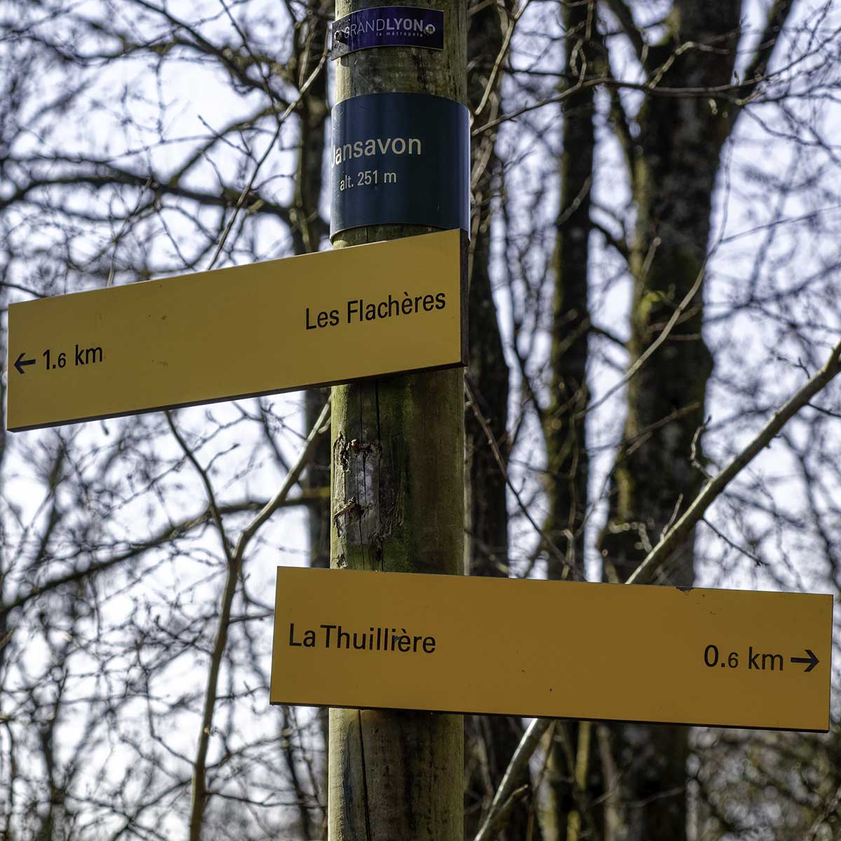 Le Bois de Serres - Charbonnières , Dardilly, Ecully