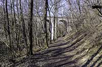 Bois de Serres Le Viaduc Dardilly