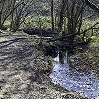 Bois de Serres Ruisseau des Planches Dardilly