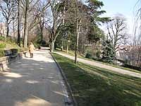 Jardin des Chartreux Cours Général Giraud  Lyon 1er