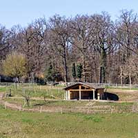 Deux Ânes - Parc de Lacroix Laval à Marcy l’Etoile