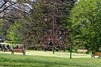 Jardin de la Mairie du 5ème Lyon 5ème