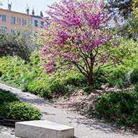 Jardins vers le Gros Caillou de la Croix-Rousse Lyon 1er