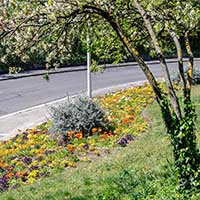 Jardin public Rue du Cardinal Gerlier Lyon 5ème