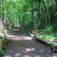 Le Bois de la Caille entre le Bas de la rue du Bois de la Caille et le Haut de la rue du Bois de la Caille