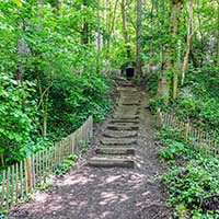 Le Bois de la Caille entre le Bas de la rue du Bois de la Caille et le Haut de la rue du Bois de la Caille