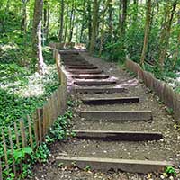 Le Bois de la Caille entre le Bas de la rue du Bois de la Caille et le Haut de la rue du Bois de la Caille