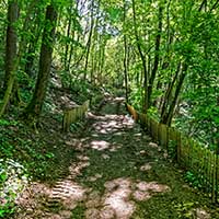 Le Bois de la Caille entre le Bas de la rue du Bois de la Caille et le Haut de la rue du Bois de la Caille