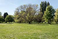 Parc de Gerland Lyon 7ème