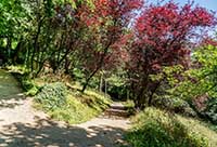 Parc de Montpellas à Saint Rambert l’Île Barbe