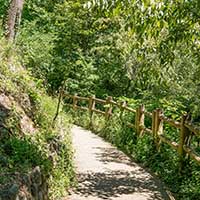 Parc de Montpellas à Saint Rambert l’Île Barbe