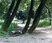 Parc de la Garde Lyon 5ème