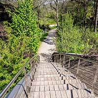 Parc de la Passerelle (de l’Avenue Bathélémy Buyer  au parc de la Mairie du 5ème) Lyon 5ème