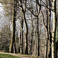 Hiver au Parc des hauteurs entre Fourvière et La Sarra