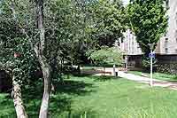 Parc Michèle Mollard (1937-1998) rue Cottin - Vaise Lyon 9ème