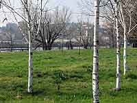 Parc de Gerland Lyon 7ème