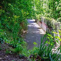 Bas de la Rue du Bois de la Caille suivant le mur d’enceinte du  bois de la Caille Lyon 4ème