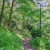 Haut de la Rue du Bois de la Caille en descendant -  suivant le mur d’enceinte du bois de la Caille Lyon 4ème