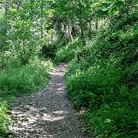 Rue du Bois de la Caille en montant -  suivant le mur d’enceinte du bois de la Caille Lyon 4ème