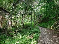 Rue du Bois de la Caille en montant -  suivant le mur d’enceinte du bois de la Caille Lyon 4ème