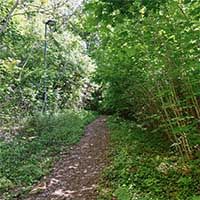 Rue du Bois de la Caille en montant -  suivant le mur d’enceinte du bois de la Caille Lyon 4ème