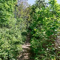 Rue du Bois de la Caille en montant -  suivant le mur d’enceinte du bois de la Caille Lyon 4ème