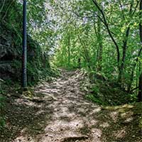 Rue du Bois de la Caille en montant -  suivant le mur d’enceinte du bois de la Caille Lyon 4ème