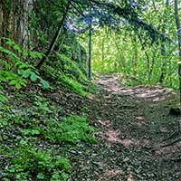 Rue du Bois de la Caille en montant - suivant le mur d’enceinte du bois de la Caille Lyon 4ème