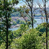 Vue sur la Saône depuis le Parc de Montpellas à Saint Rambert l’Île Barbe