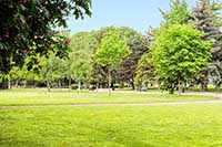 Square Georges Bazin (Historien 1906-1980) Spécialiste de Montchat (Lyon 3ème)