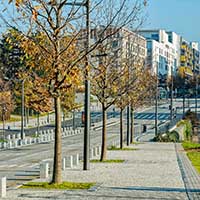 Avenue Rosa Parks (1913-2005) à la Sauvegarde La Duchère (Lyon 9ème)