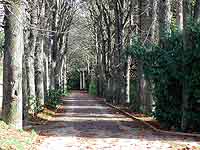 Jardins de Balmont La Duchère (Lyon 9ème)