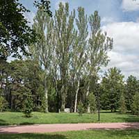 Espace des Droits de l’homme - Artchitecte: Mouchikhine, Sculpteur:Roger Garrindo - au Parc de la Tête d’Or Lyon 6ème