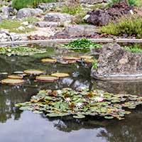 Jardin Botanique - Parc de la Tête d’Or - Lyon 6ème