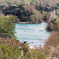 Lac du Parc de la Tête d’Or Lyon 6ème