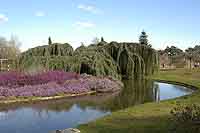 Parc de la tête d’or, Roseraie  Lyon 6ème