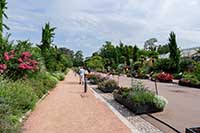 Allée près des petites serres - Parc de la Tête d’Or Lyon 6ème