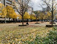 Place Jean Monnet à Vaise Lyon 9ème