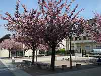 Place devant le Lycée Saint Just Lyon 5ème