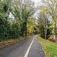 Chemin de Parsonge à l’automne à Dardilly