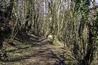 Le Bois de Serres Dardilly