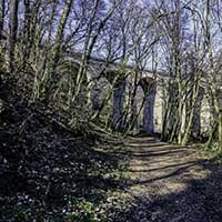 Le Bois de Serres Le Viaduc Dardilly