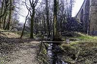 Le Bois de Serres Le Ruisseau des Planches Dardilly