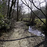 Le Bois de Serres Le Ruisseau des Planches Dardilly