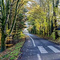 Chemin de Parsonge à l’automne à Dardilly