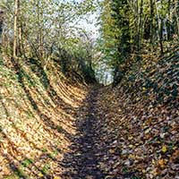 Chemin de Truchis de Lays à Champagne au Mont d’or