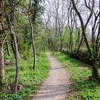 Sentier du Fort du Paillet autour du fort - Dardilly