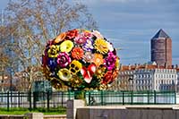 "Flower Tree" par Jeong-Hwa Choi (Corée) Place Antonin Poncet Lyon 2ème